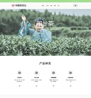 茶文化茶叶
